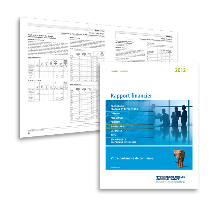 Rapport financier 2012